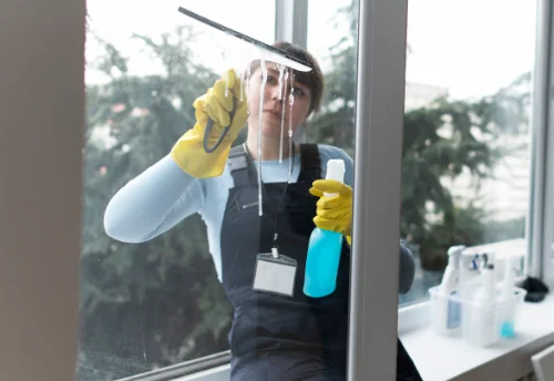 Nettoyage de vitres intérieures et extérieures à Saint-Germain-Laprade